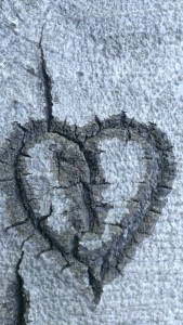 treeheart