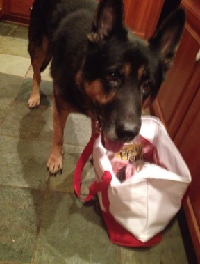 Magic checks out Purina gift bag from the #betterwithpets event.