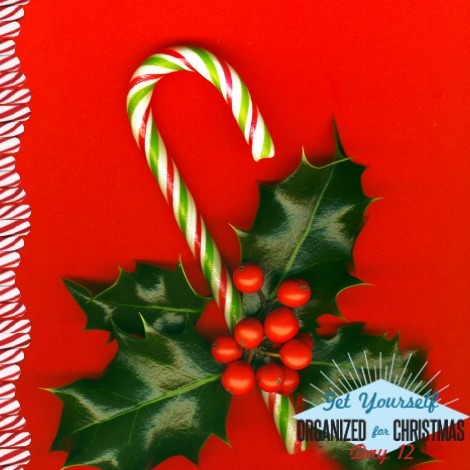 Candy cane with pretty holly leaves and berries on red background, candy cane