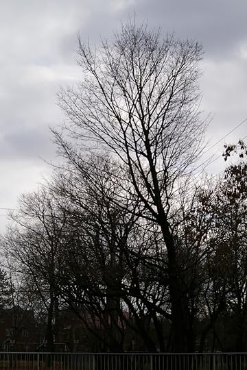 Tree Project - image 90