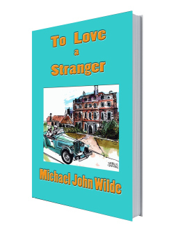 To love a stranger 3d.jpg