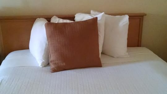 IMG_20151129_160428005[1]