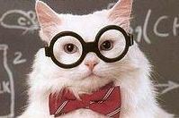 Smardy Kat