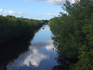 Buttonwood Canal