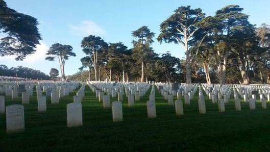 Golden Gate National Cemetery (c) 2015 Audrey Kalman