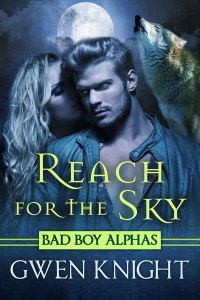 ReachForTheSky_600x900