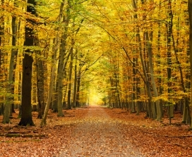 Louise Hay Reminds Us To Always Be Thankful