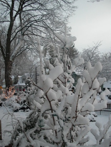 Snow