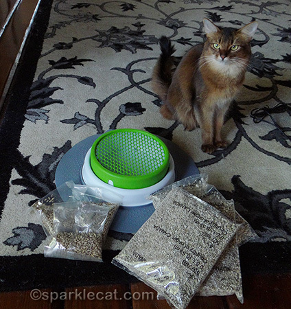 Somali cat, Senses 2.0 Grass Planter