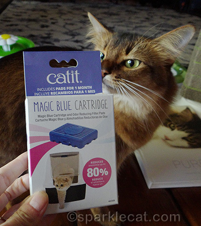 somali cat, Magic Blue Cartridge