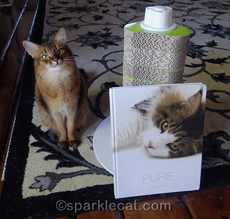 Pure cat book by Lucas