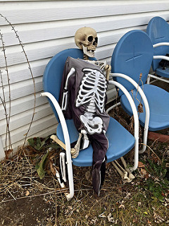 Skeleton