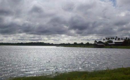 405580_3032797178309_1887602297_n[1]