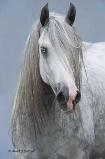 Silver 18