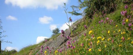 Salthill Quarry 1