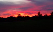 IMAG0476