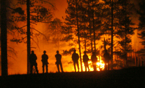 firefighters