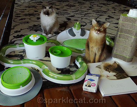 Somali cat, ragdoll cat, catit oasis