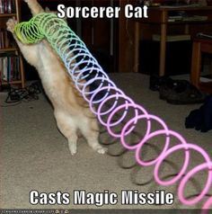 sorcat2