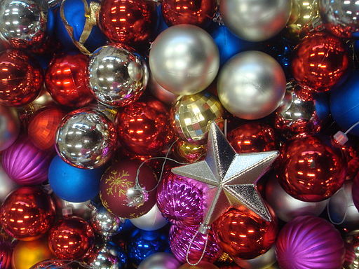 Xmas colors, 2013 (photo by David J)