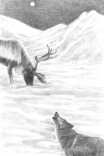 Reindeer&Dog&Night-397KB