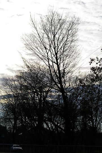 Tree Project - image 91