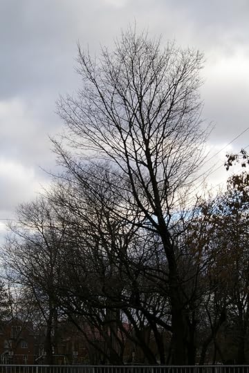 Tree Project - image 89