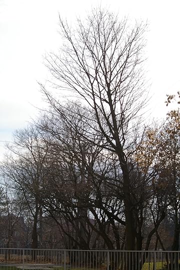 Tree Project - image 87