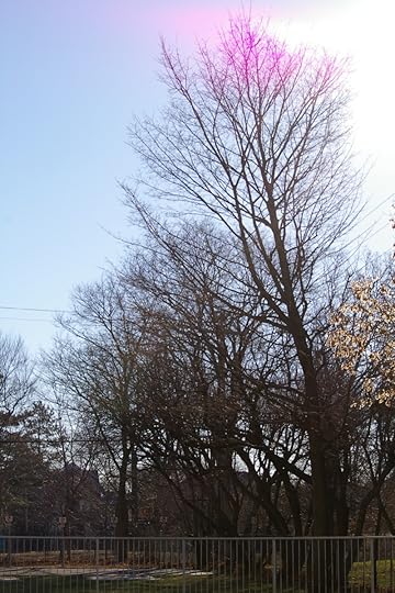 Tree Project - image 86