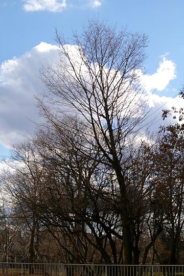 Tree Project - image 83