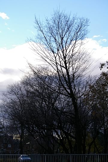 Tree Project - image 77