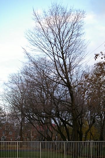 Tree Project - image 76