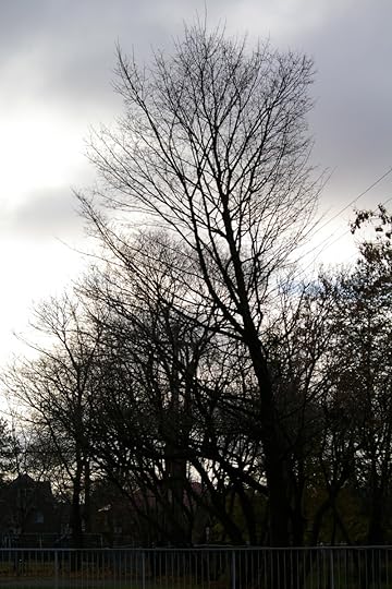 Tree Project - image 72