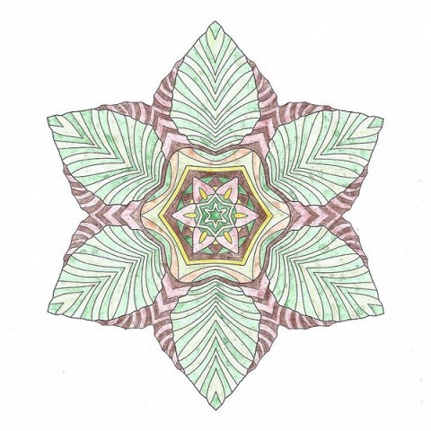 arbor_600x600