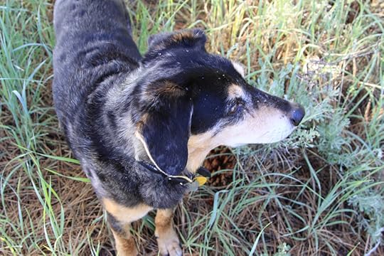 Are you talking to me?