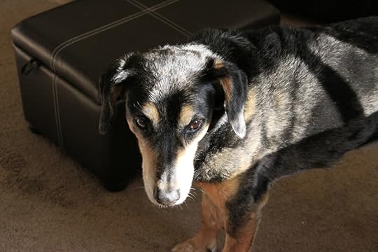 Stop moving so quickly