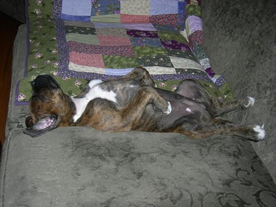  photo 003037_zpswqoicdvm.jpg