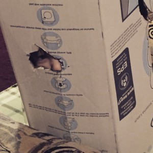 Photo of child in a box.