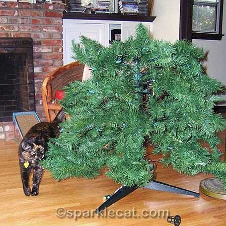 Tortoiseshell cat, artificial Christmas tree, Christmas tree cat, Christmas tree assembly