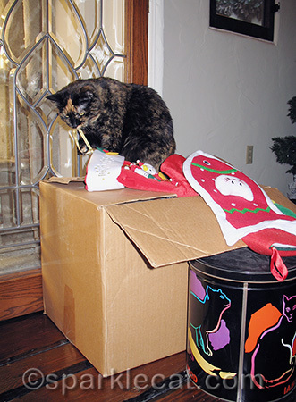 tortoiseshell cat, christmas decorations, cat playing with decorations