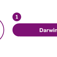 Screen Shot 2015-10-20 at 11.43.54 AM