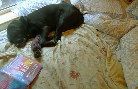 Tilly snoozing