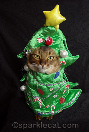 Christmas tree cat costume, somali cat