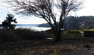 20151204_125058_resized b