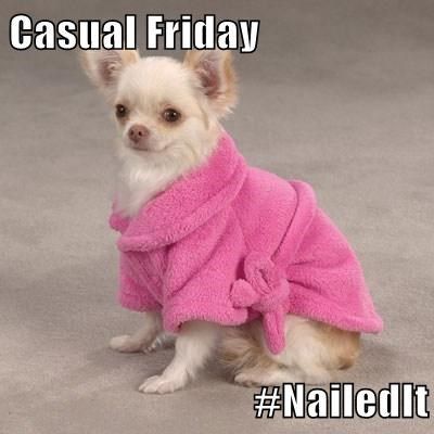 Dog casual friday