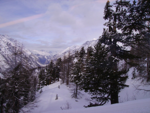 pict0827