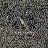 Knife_Screen