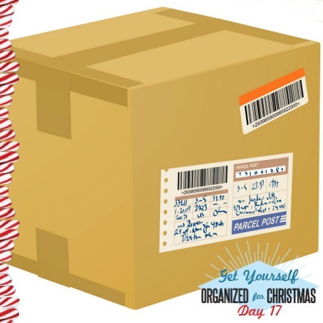 Christmas Project 17