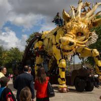 5E6A4988©Emmanuel Bourgeau (11)BD - Copie