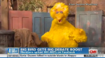 romneybigbird